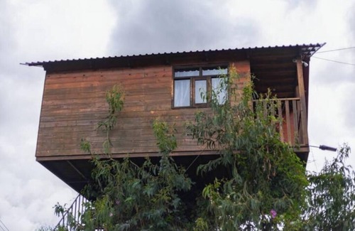 Omitlan de Juarez Casa | Trini Tree House — Nido By GEstores