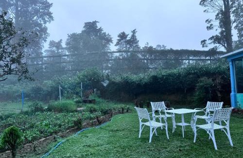 Nuwara Eliya Casa | Trinity Guest-Inn