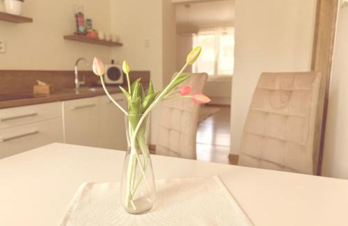 Ostrava Apartamento | Trio Apartments