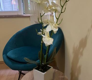 Rakovica Apartamento | TripleA Sr apartments