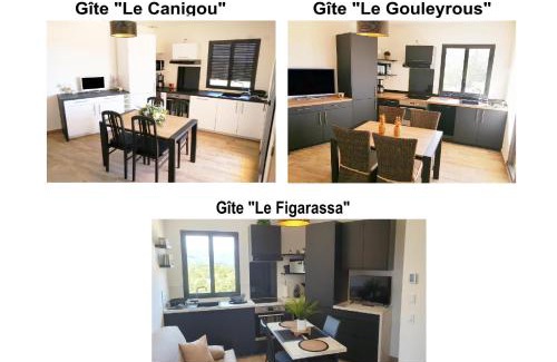 Vingrau Apartamento | Trois appartements au sein du Mas Jams - Le Gouleyrous, Le Canigou et Le Figarassa