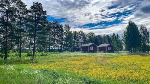 Gargnas Casa | Trollforsen Camping & Cottages