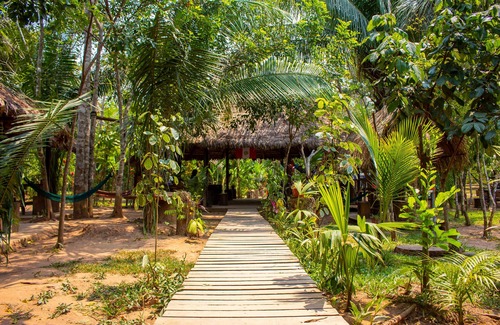 Puerto Maldonado Cabaña | Tronco Tambopata Adventure