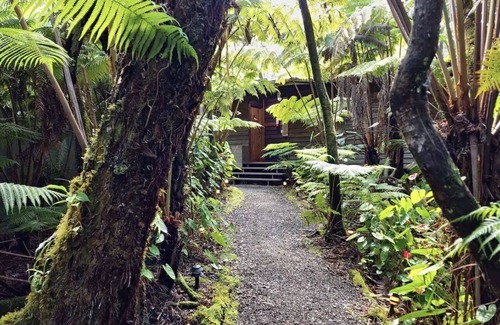 Volcano Cabina | Tropical 1-bedroom cabin. Five minute drive to Hawaii Volcanoes National Park.