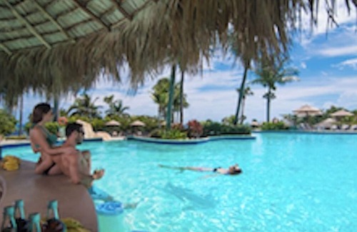 Puerto Plata Hotel | Habitación de hotel en la playa tropical con pulsera de nivel platino