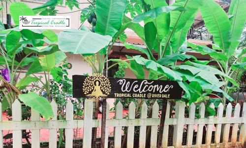 Tonse West Casa | Tropical Cradle @ River Dale