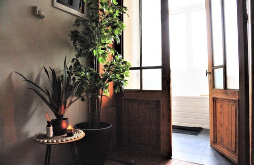 South Antwerp Apartamento | Tropical Dive, 2BDR Apartment
