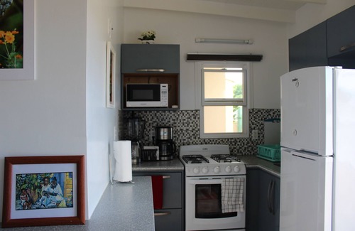 All Saints Apartamento | Cabaña con jardín tropical: privada con patio y patio, wifi, cocina, bd / habitación
