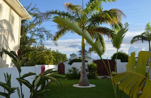Silver Sands Apartamento | Tropical Gecko Studio - Sweet Jewel Apartments