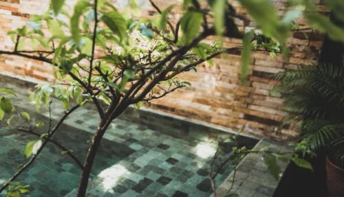 Jijoca de Jericoacoara Casa | Tropical House - Villa com piscina perto do mar