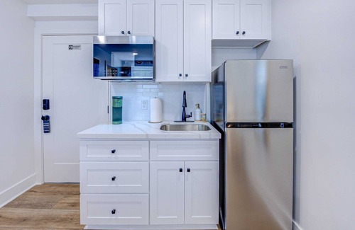 Galveston Apartamento | Tropical Jungle Studio