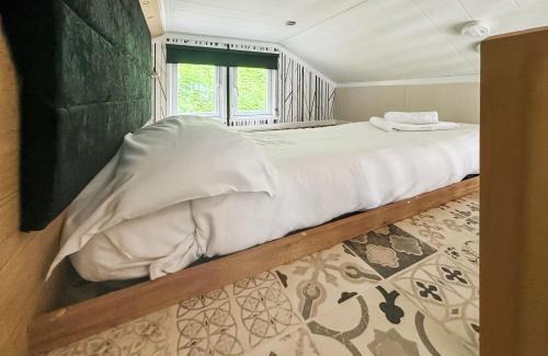 Ascog Complejo | Trossachs Holiday Park