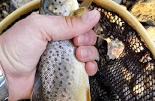 Waterville Cabina | Trout Lodge w/ Hot Tub