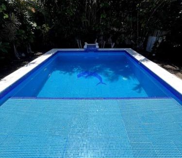 Colonia Adolfo Lopez Mateos Casa | Troy's House