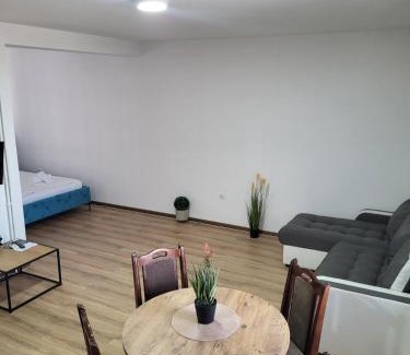 Pozarevac Apartamento | Trpeza Prenociste