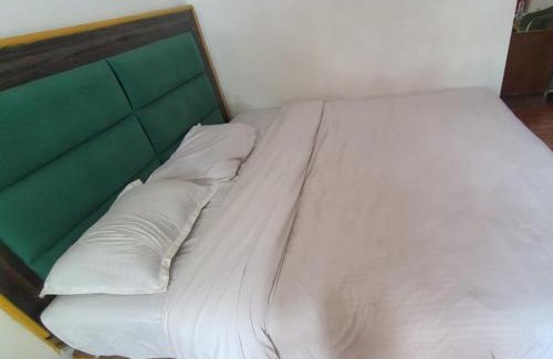Dharamshala Casa | truind view home stay