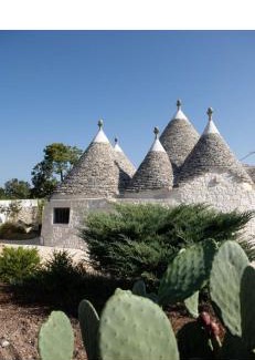 Selva di Fasano Casa | Trulli Clematis with Pool