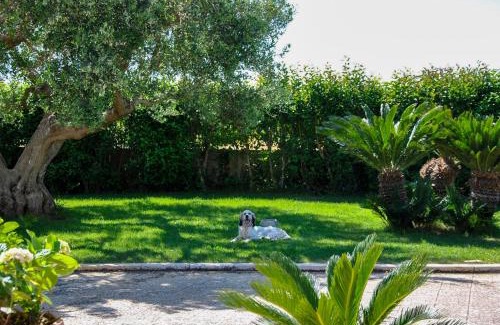 Martina Franca Casa | Trulli l’Olivo Casa Vacanze