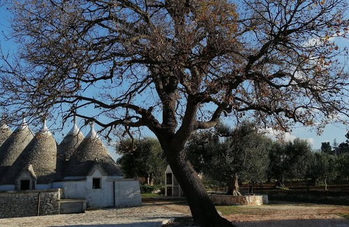 Triggianello Casa | Trulli di Mercedes splendid residence consisting of 5 trulli
