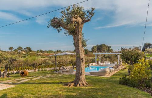 Martina Franca Casa | Trulli Terralunga