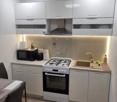 Panevezys county Apartamento | Trumpalaike buto nuoma