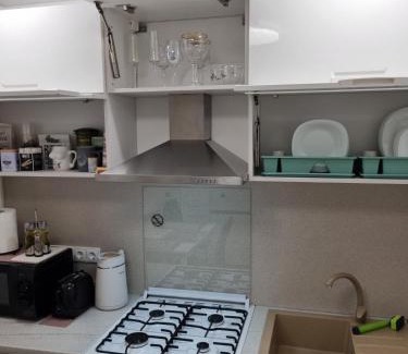 Panevezys county Apartamento | Trumpalaike buto nuoma