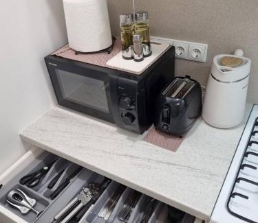 Panevezys county Apartamento | Trumpalaike buto nuoma