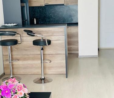 Tsaghkadzor Apartamento | Tsaghkadzor Alvina complex
