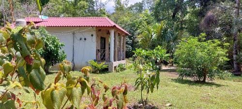 Lacanja Apartamento | Tu Casa en la Selva Lacandona
