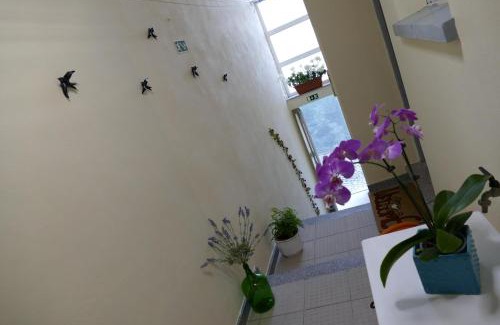 Mirandela Apartamento | TUACASA