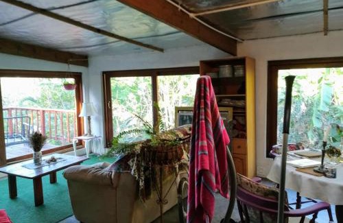 Hillcrest Apartamento | Tucked away in the tree tops