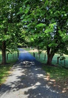Cambridge Cama Y Desayuno | Tui Glade Bed and Breakfast