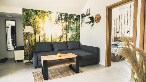 gmina Zembrzyce Casa | Tulichatki domki całoroczne