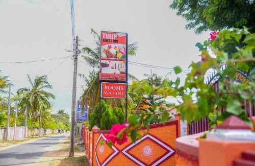 Vadamaradchy North Casa | Tulip Guest Inn
