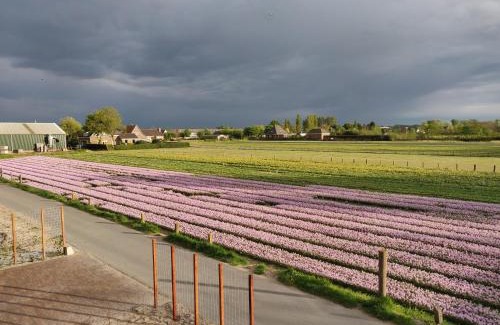 Akersloot Cama Y Desayuno | Tulpenhoek