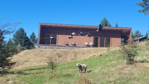 Cochrane Apartamento | Turismo y Cabañas Dragon de La Patagonia