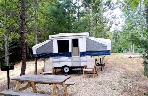 Cosby Casa | Turkey Knob: Pop-up in the Great Smoky Mountains