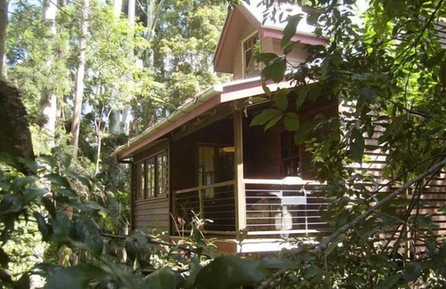 Mount Glorious Cabaña | Nido de pavo - Rose Gum Cottage