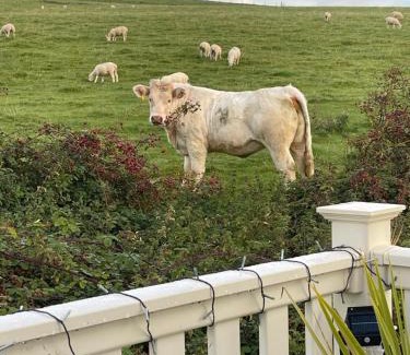 Girvan Complejo | Turnberry holiday park