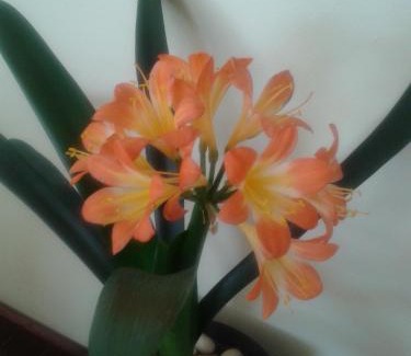 Middelburg Casa | Turquoise View Guesthouse