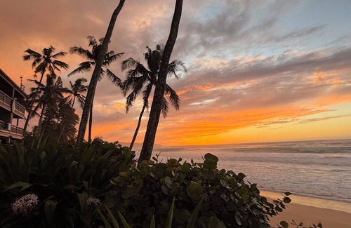 Kahuku Apartamento | Turtle Bay Studio