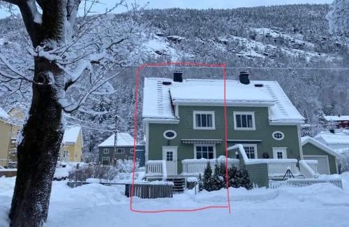 Rjukan Apartamento | Tveitopark Apartments