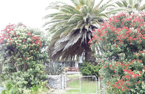 Waikanae Casa | TWIN PALMS - LINO GRATUITO, LIMPIEZA, WIFI Y DESAYUNO.
