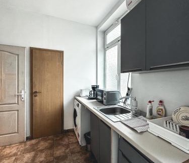 Timisoara Apartamento | Twin-Tam House
