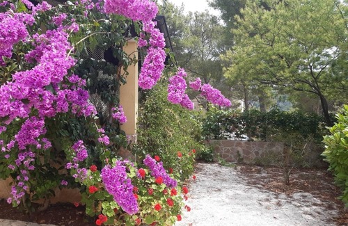 Cove Osibova (Milna) Apartamento | Apartamento para dos personas con una terraza Bahía Osibova, Brac (A-23774-a)