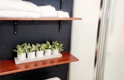 Lakeland Apartamento | TWO BEDROOM HOME IN BEAUTIFUL DOWNTOWN LAKELAND