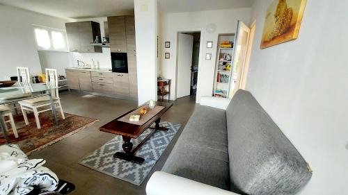 Cademario Apartamento | Two BIG entire apartments with stunning view