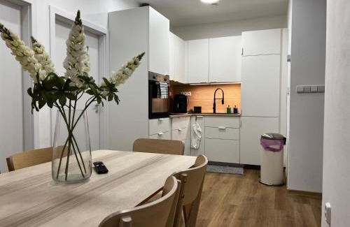Zizkov Apartamento | Two Modern Apartments with Complimentary Parking
