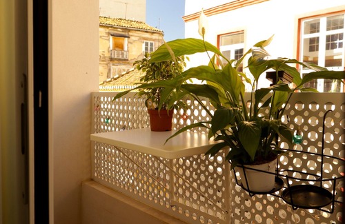 El Ejido Apartamento | Two Suites Apartment in the center of Málaga