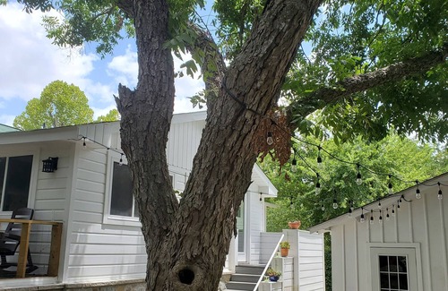 Rio Vista Casa | TXST Hideaway nestled near the San Marcos River